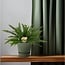 Nephrolepis Green Lady houseplant 40 cm pot size 17 cm