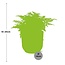 Asplenium Parvati in ELHO Vibes Fold roze kamerplant 25 cm potmaat 12 cm