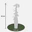 Lonicera japonica Halliana plantenset 4 stuks 65 cm potmaat 15 cm