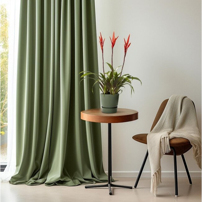 Vriesea Elan Toef kamerplant 55 cm potmaat 12 cm
