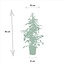 Ficus benjamina Goldenking houseplant 95 cm pot size 21 cm
