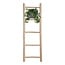 Hedera Helix green hanging pot white / Basic houseplant pot size 17 cm