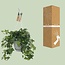 Hedera Helix grün Hängetopf weiß / Basic Zimmerpflanze Topfmaß 17 cm