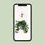 Hedera Helix green hanging pot white / Basic houseplant pot size 17 cm