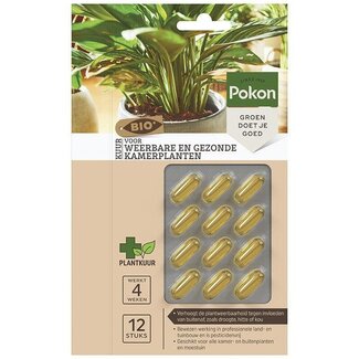 Koning Bamboe Bio Cure plant capsules 12 items