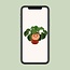 Pilea Peperomioides houseplant 15 cm pot size 10.5 cm