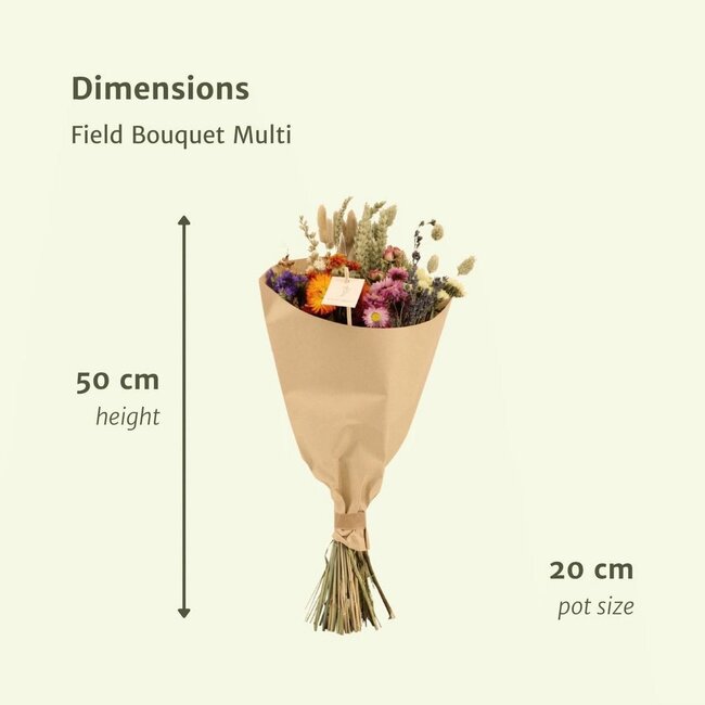Dried flowers Field bouquet Multi