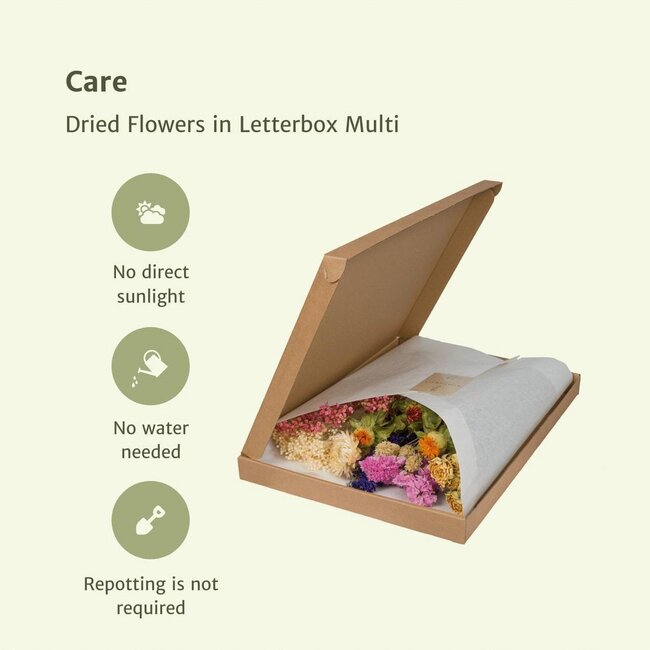 Dried flowers in letterbox Multi