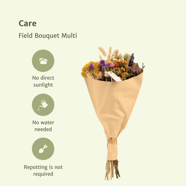 Dried flowers Field bouquet Multi