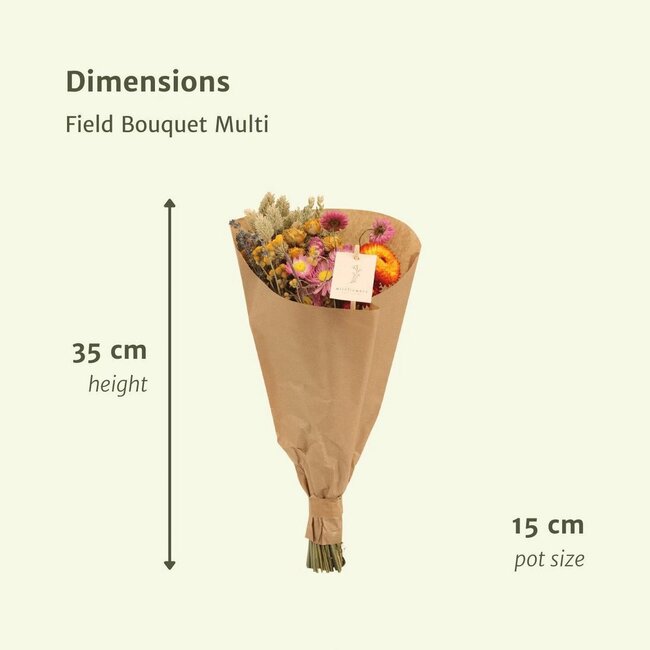 Veldboeket Multi droogboeket 35cm 12 stuks