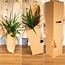 Yucca Elephantipes houseplant 85 cm pot size 17 cm
