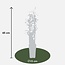 Trachelospermum Star of Ibiza plantenset 2 stuks 65 cm potmaat 15 cm