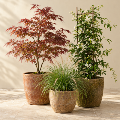 Artificial Plants