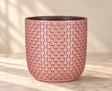 What size plant pot do you need? A measuring guide