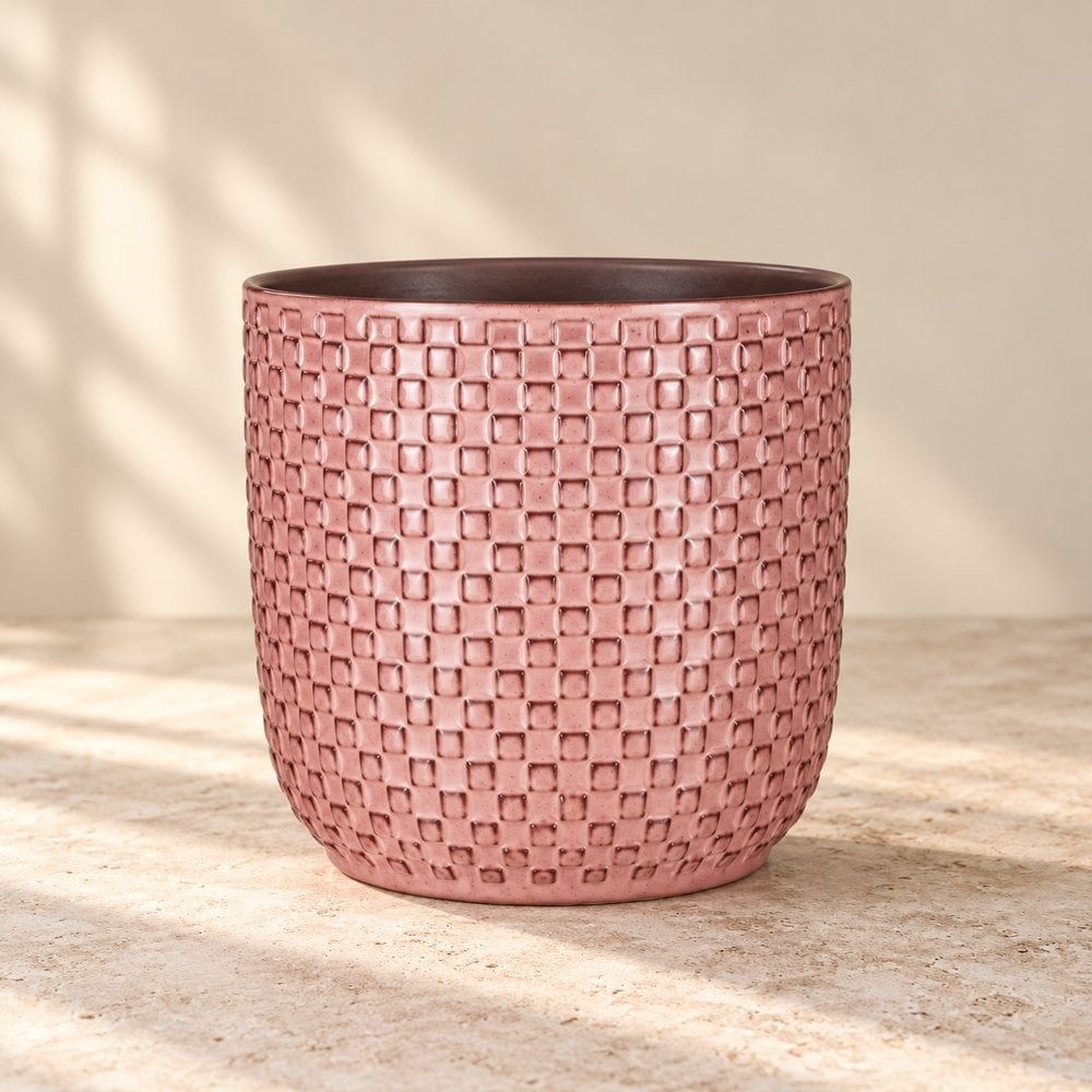What size plant pot do you need? A measuring guide