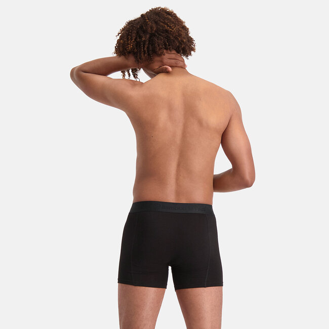 Bamboo Basics Bamboo viscose men boxer briefs Rico 7 pack