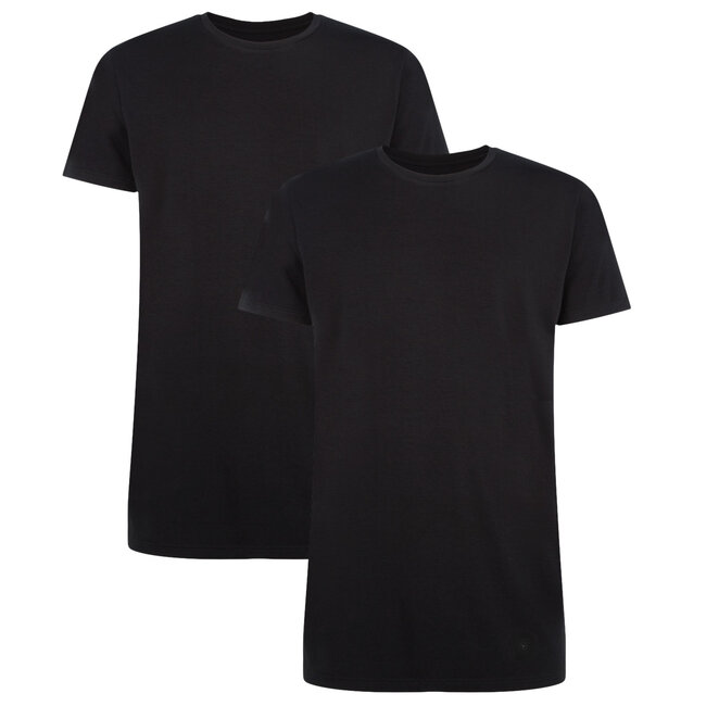 Bamboo Basics Bamboe T shirts heren Ruben 2 pack