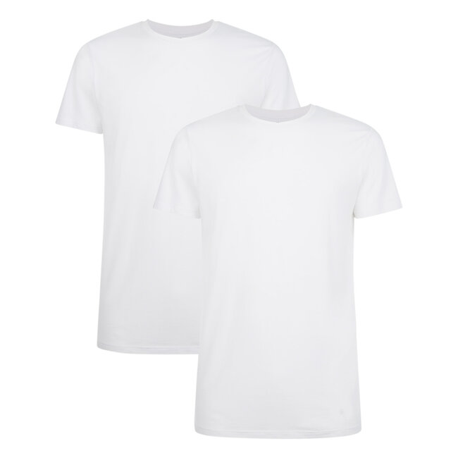 Bamboo Basics Bamboe T shirts heren Ruben 2 pack