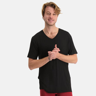 Bamboo Basics Bamboe T shirts heren Vance 2 pack