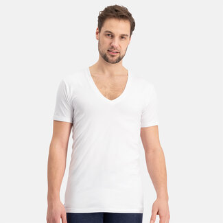 Bamboo Basics Bamboo viscose men T shirts Vigo 2 pack