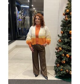 HEBBEZ Soepele wide leg pantalon met krijtstreep Elisa - Bruin