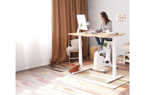 Elektrisch verstellbarer Schreibtisch - Dual Motor | Weiß | 160 x 80 cm