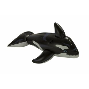 Orka