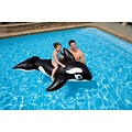 Intex Orka