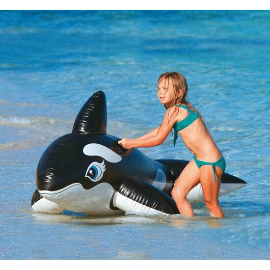 Intex Orka