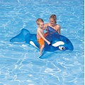 Intex Walvis