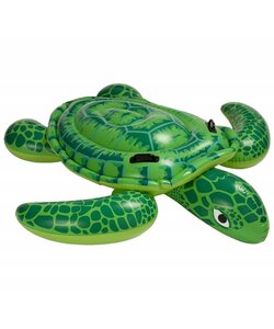 Grote Zee-schildpad