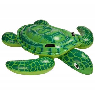 Grote Zee-schildpad
