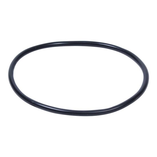 Intex O-ring Pompdeksel (nr. 4)