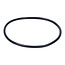Intex O-ring Pompdeksel (nr. 4)