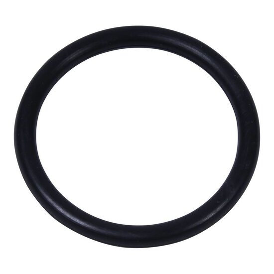 Intex O-ring voor slangaansluiting
