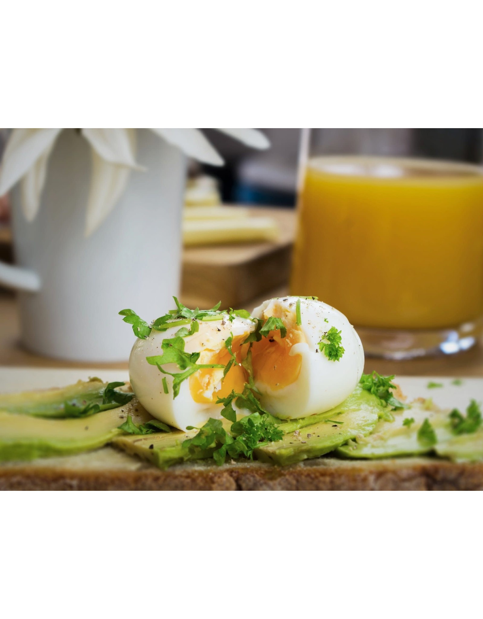 Brainstream Hollands Glorie PiepEi