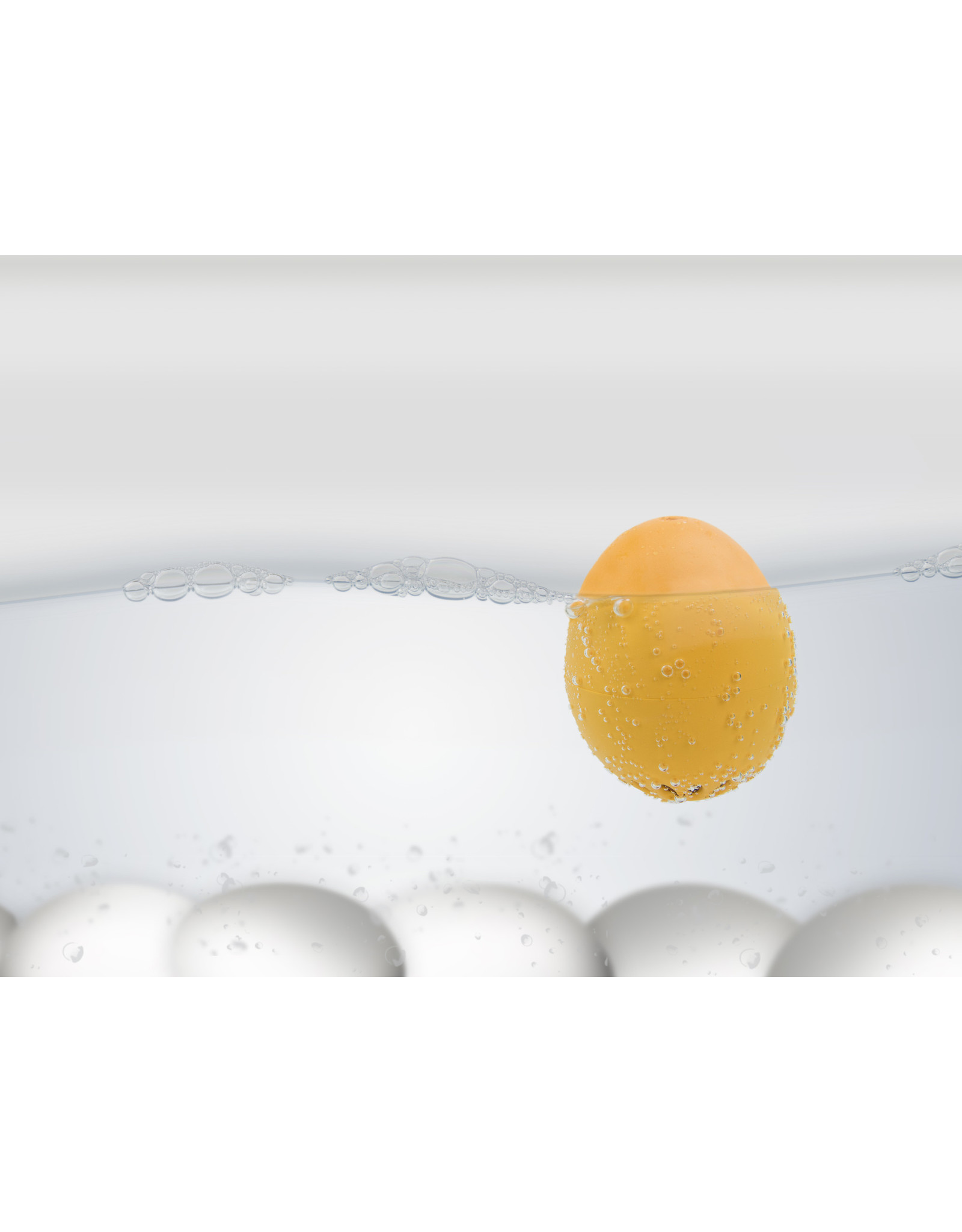 Brainstream Hollands Glorie PiepEi