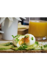 Brainstream Classic Geel PiepEi