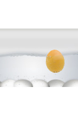 Brainstream Classic Geel PiepEi