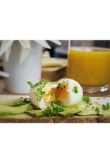 Brainstream Western PiepEi