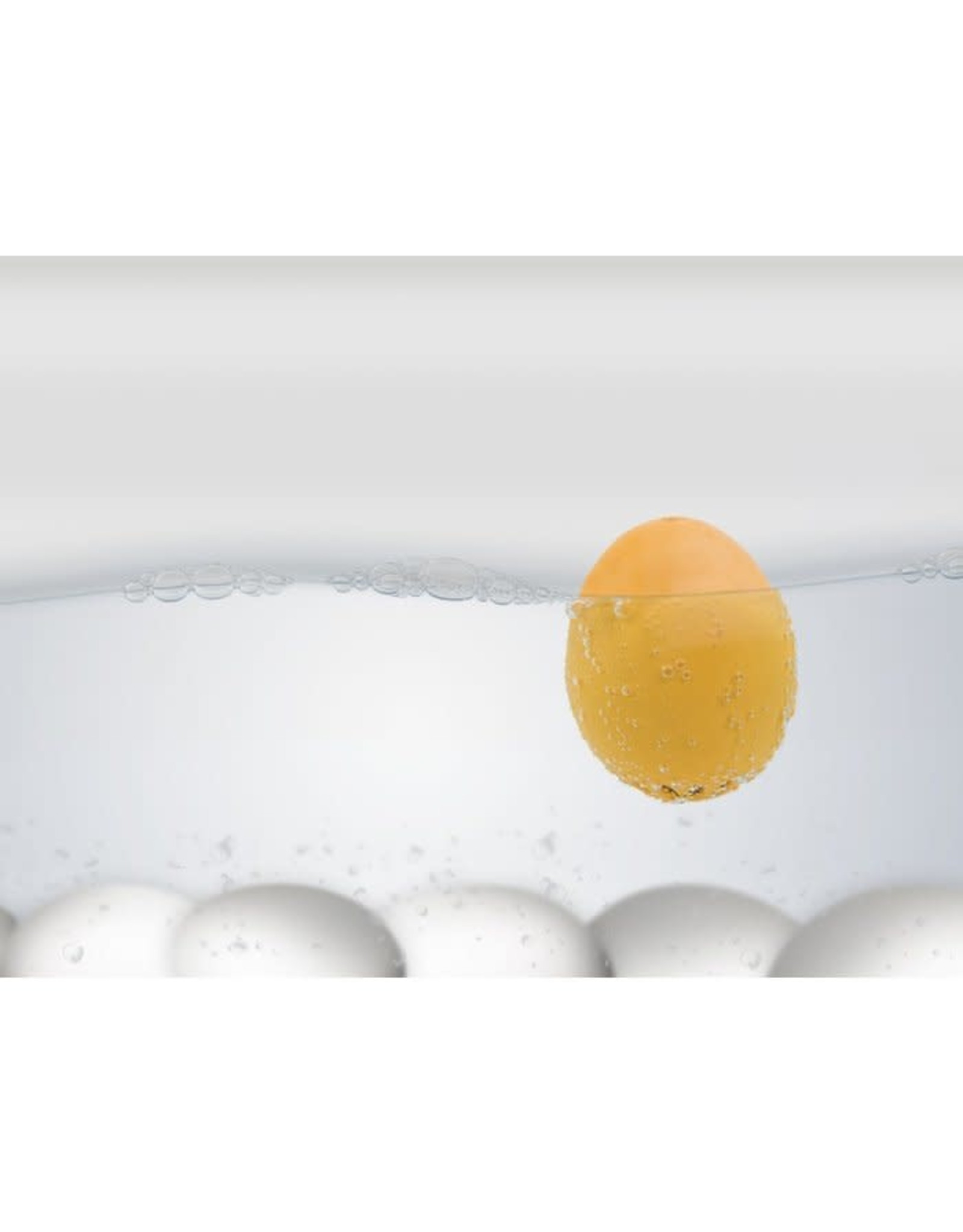 Brainstream PiepEi Piraat