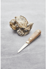 Point-Virgule Oestermes met houder in hout rvs kunststof 2 dlg set