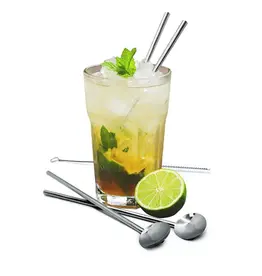 Vin Bouquet Lepelrietjes rvs 4 stuks met borstel