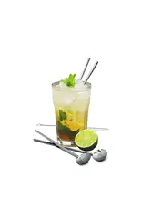 Vin Bouquet Lepelrietjes rvs 4 stuks met borstel