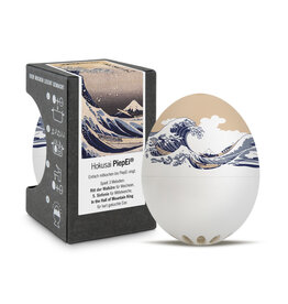 Brainstream Hokusai PiepEi