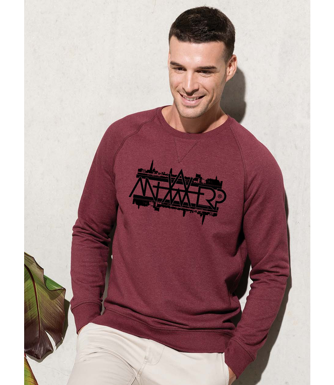 AW raglan sweater SKYLINE - Dope On Cotton