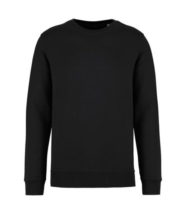 Native Spirit  ECO SWEATER ROUND NECK ns400