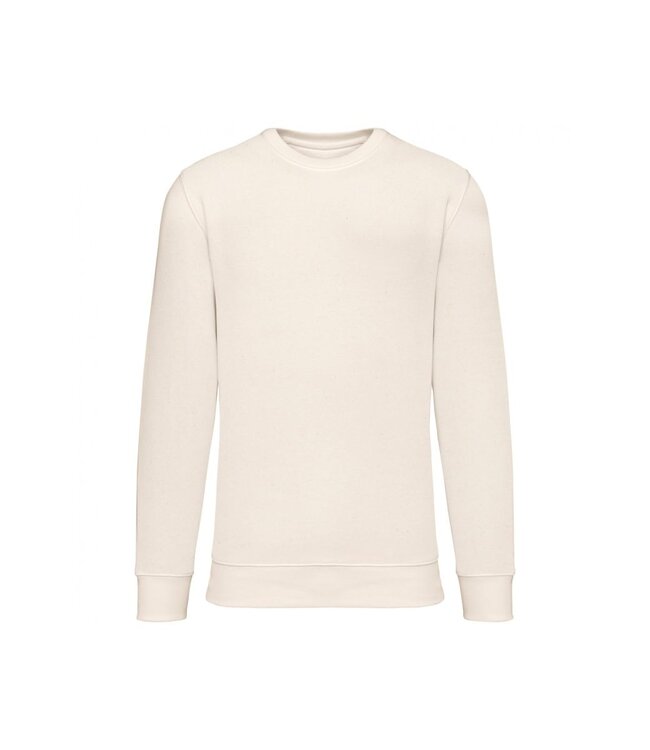 Native Spirit  ECO SWEATER ROUND NECK ns400