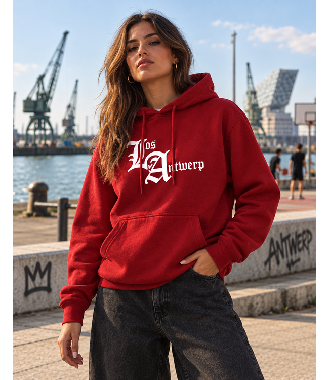 Antwerp Wear AW HOODY LOS ANTWERP PRT