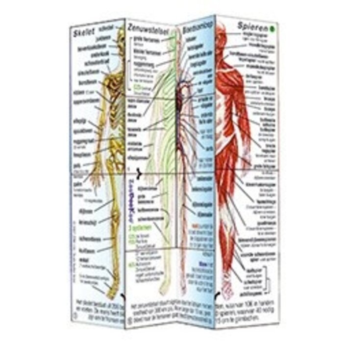 ZooBooKoo Kubusboek Menselijk Lichaam